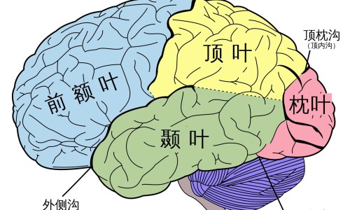 艾滋病人唾液有没有病毒-艾滋病人的唾液传染吗网 - 艾滋病唾液传播的概率有多大,艾滋病人的唾液传染吗会传染吗